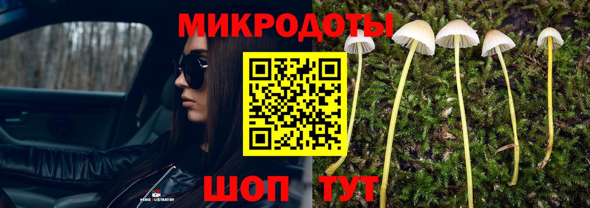 Шелехов  цена наркотик  Вход с VPN  Псилоцибиновые грибы Cubensis 