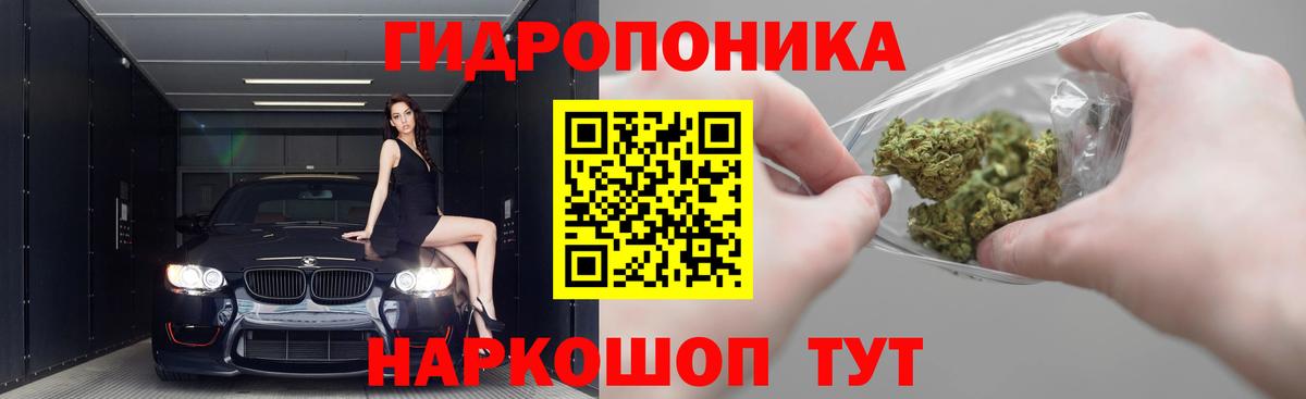 Каннабис Amnesia Шелехов